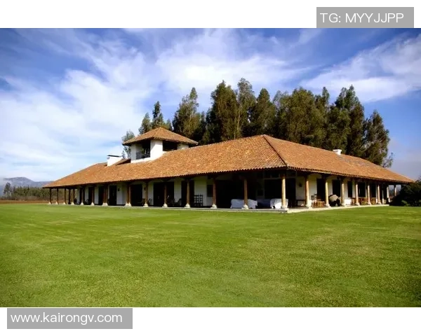 智力大学与科尔查瓜的精彩对决揭示足球战术与团队协作的魅力